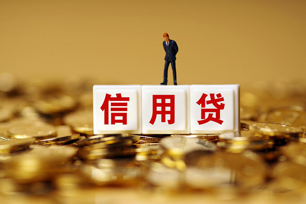 成都专业哪里可以借私借